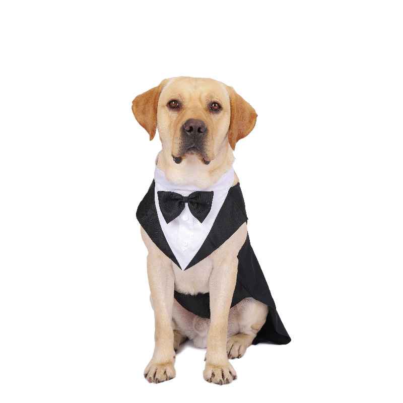 Pet Dog Clothes Fashion Party  - Suit Supply Wedding Party ulasan dan harga